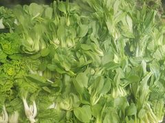 -BHG生活超市(安贞店)