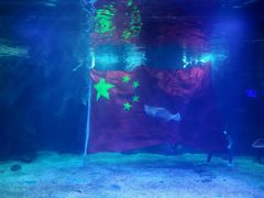 -石家庄海洋公园