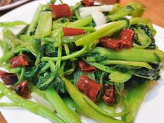 -三猫黑鱼花(南大店)