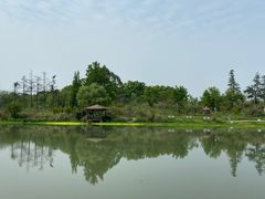 -桤木河湿地公园