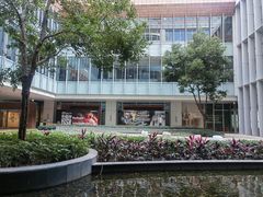 -香港大学
