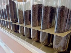-雾与山茶(大禹城店)