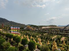 -东芭乐园
