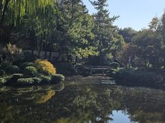 -秋霞圃
