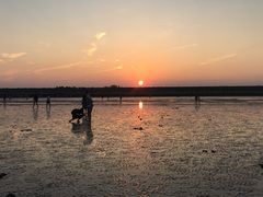 -南汇嘴观海公园