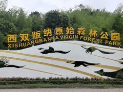 -西双版纳原始森林公园