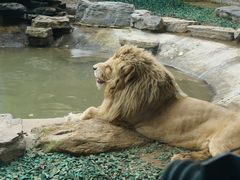 -北京野生动物园