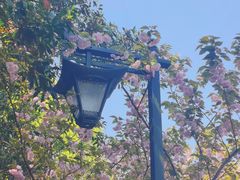 -东钱湖旅游度假区