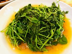 -双塔老饭店