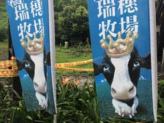 -瑞穗牧场