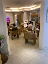 -天津伊美尔医疗整形美容专科医院