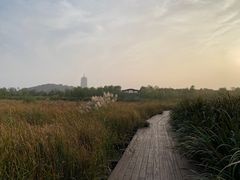 -永定河休闲森林公园