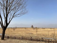 -野鸭湖国家湿地公园