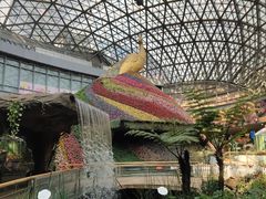 -花之城