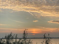 -莲花岛景区