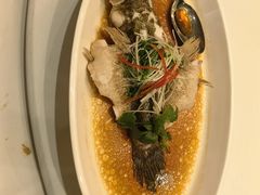 -皇朝尊会(龙之梦大酒店)