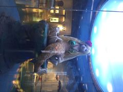 美丽的美人鱼-成都泰迪熊博物馆