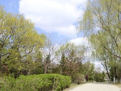 -长白岛森林公园
