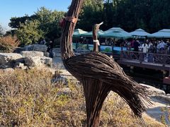 -北京西山国家森林公园