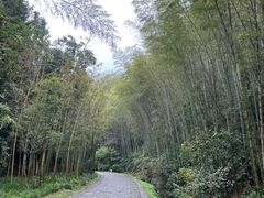 -常德桃花源景区