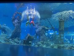 -哈尔滨波塞冬海底世界