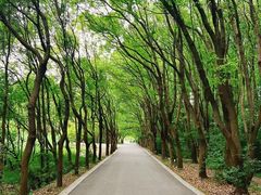 -同里国家湿地公园
