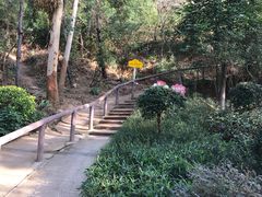 -仙岳公园
