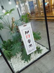 -小鬼当家儿童摄影(塘下店)