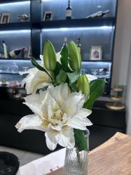 -薇薇安花系SPA