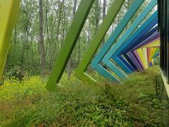 -合肥滨湖国家森林公园