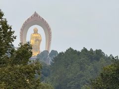 -庐山风景名胜区-东林大佛