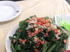 -东吴霸王兔(松青路店)