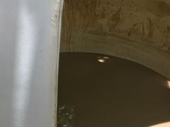 -100蛋泥浆浴