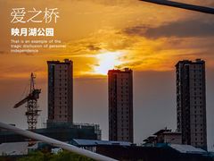 -映月湖中央公园