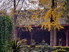 -成都市文殊院