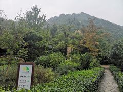 -北京鹫峰国家森林公园