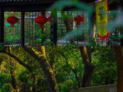 -雨花胜境