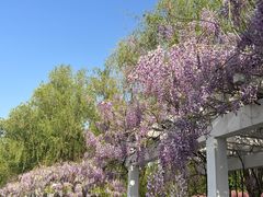 -莲花池公园