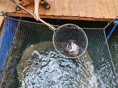 -蓝湾碧波·老字号·疍家非遗海上餐厅