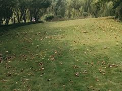 -复旦大学附属眼耳鼻喉科医院(浦江院区)