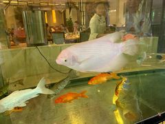 -北海金昌开元名都大酒店·四季轩中餐厅