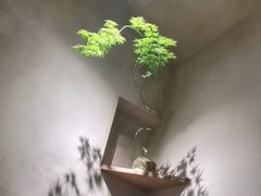 -陶享时光西餐·下午茶(信河街店)