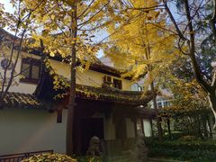 -复旦大学附属华山医院(总院)