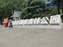 -日照海滨国家森林公园