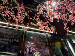 -风波庄(罍街分舵)