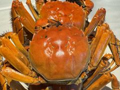 -领鲜活海鲜榴莲自助火锅(东门店)