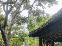 -秋霞圃