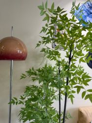 -变美丽半永久纹眉连锁·机器野生眉•洗眉