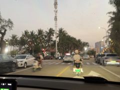 -万绿园