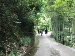 -夏霖九天银瀑风景区